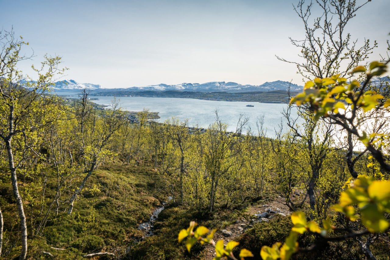 Skjelnan feltet i Tromsø
